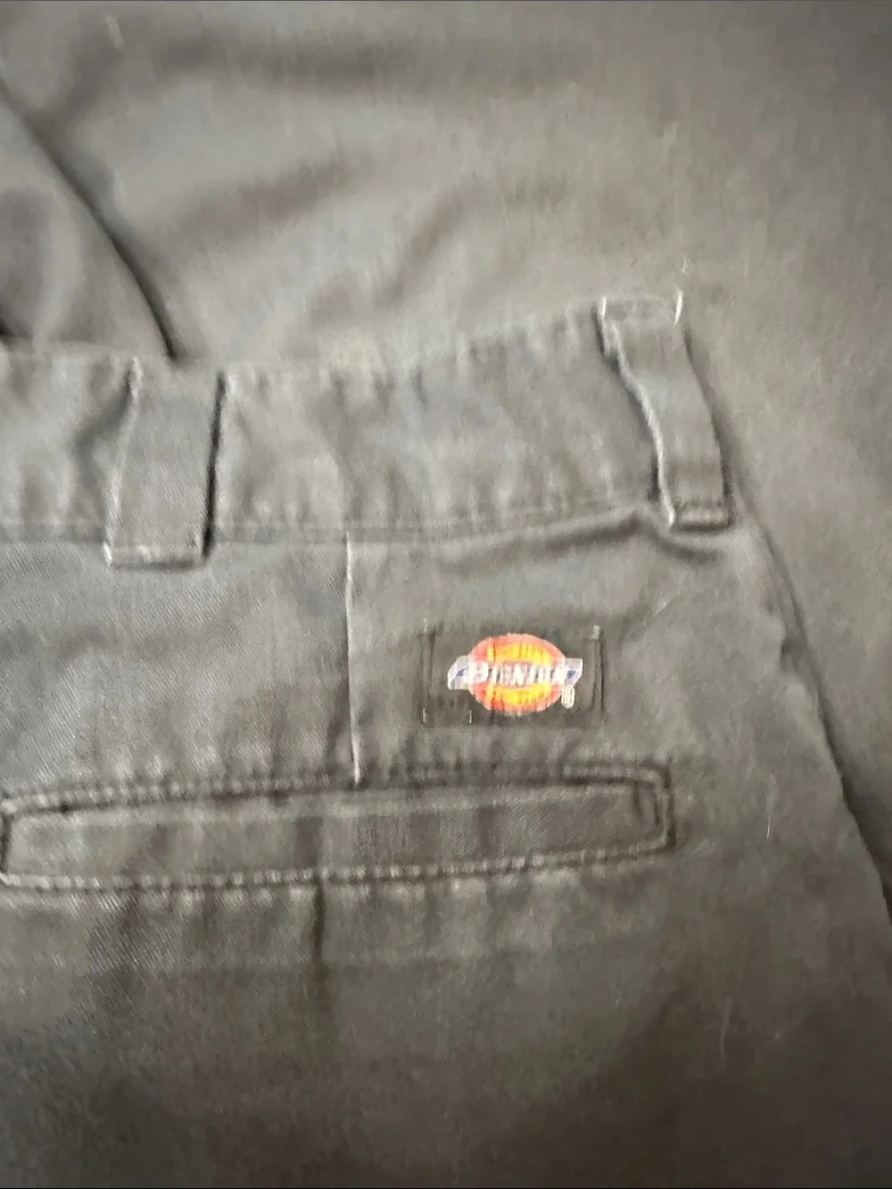 Dickies durable cargo